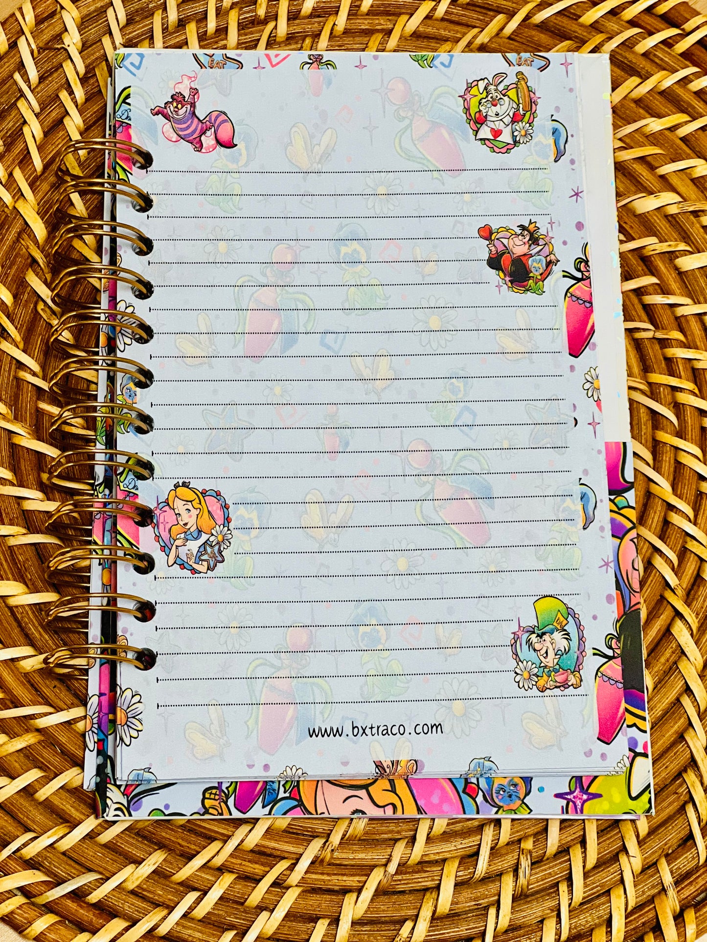 Rabbit 🐰 Hole Notebook